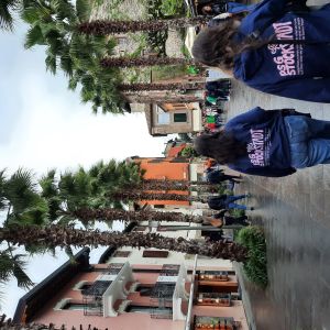 Sirmione (2)
